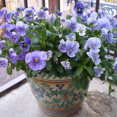 ベッド・アンド・ブレックファスト Crociferi カターニア