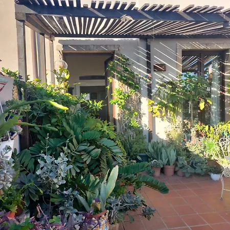 Crociferi 카타니아