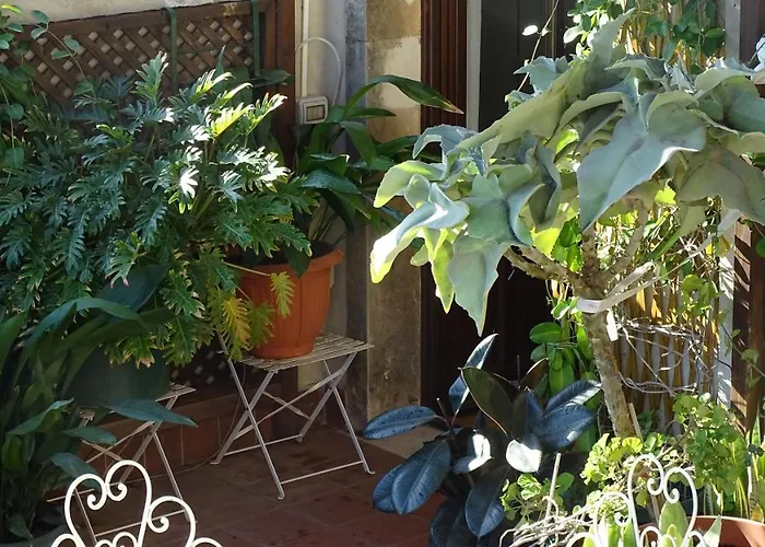 Crociferi 4* Κατάνια