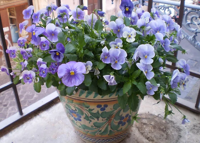 Bed and Breakfast Crociferi Κατάνια